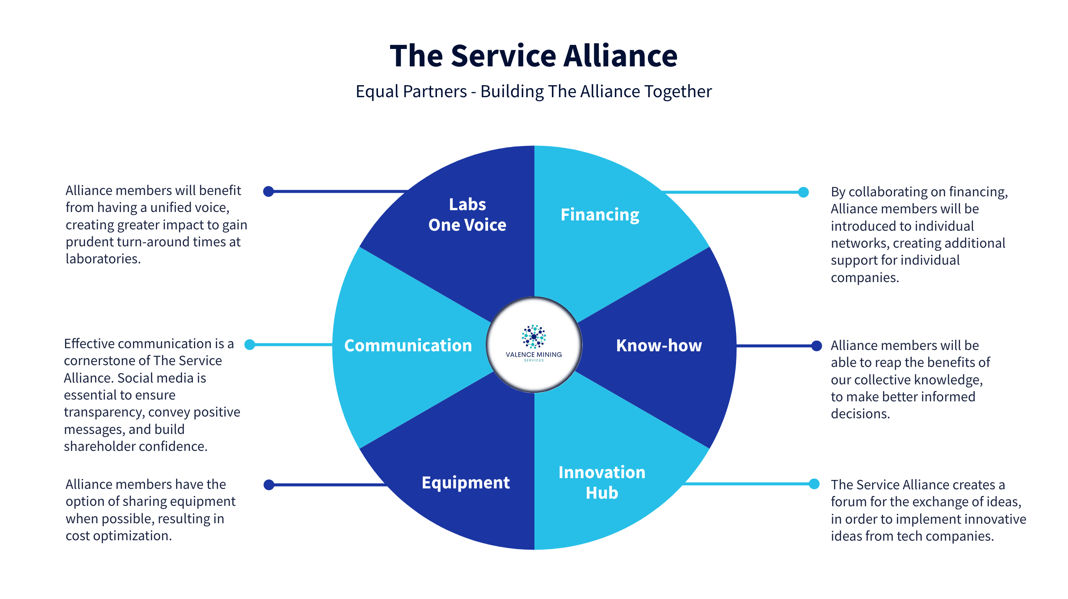 Figure 1: About The Service Alliance (read more here)