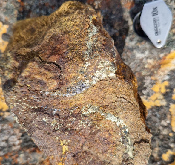Photo 5: Sample D125049, chalcopyrite and sphalerite folded in Amphibolite containing 6.66% Cu, 2.25% Zn