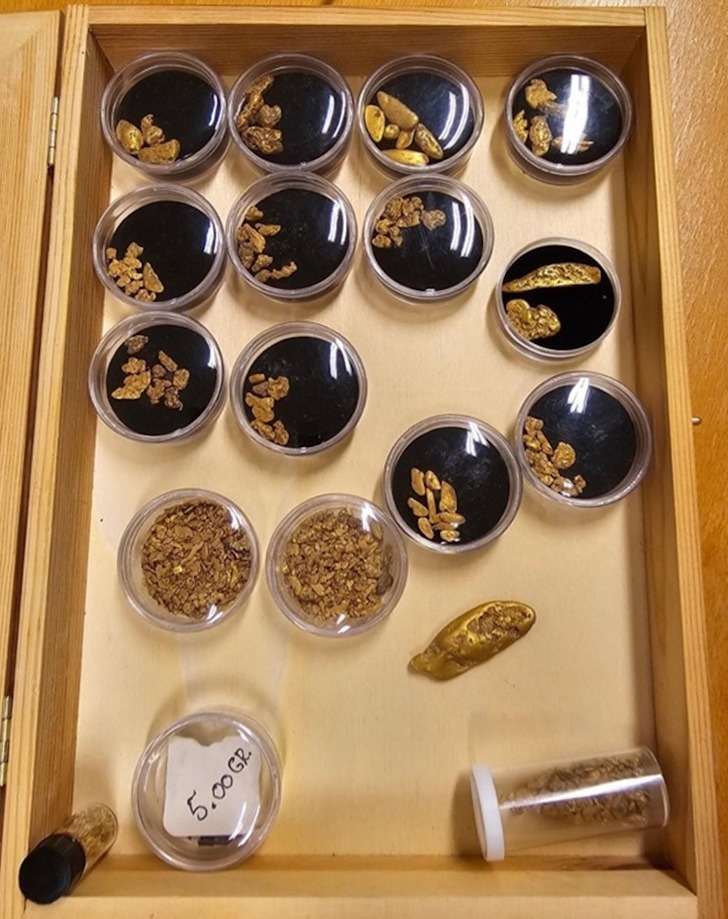 Figure 5: Gold nuggets found close to Svartbekken, stored at the NGU