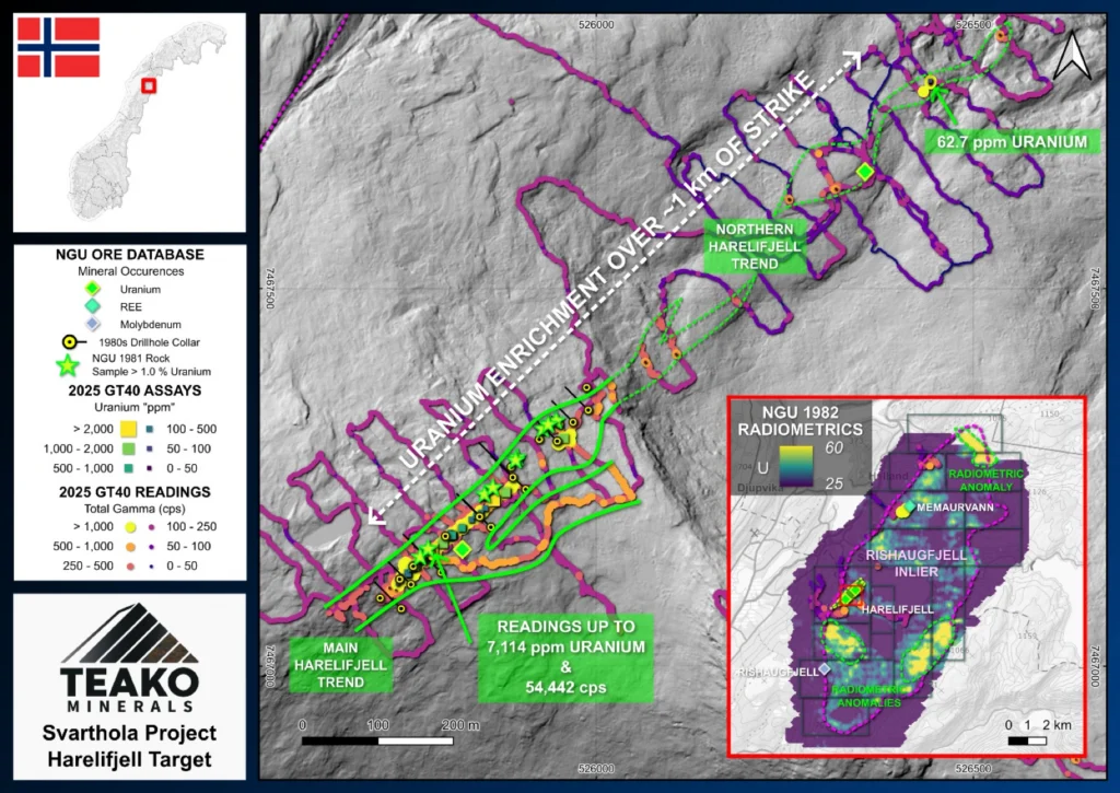 Map of the main uranium trend at Harelifjell. Data points are a compilation of data recorded by the geoteam in 2025 and NGU rock chip samples, Svarthola project