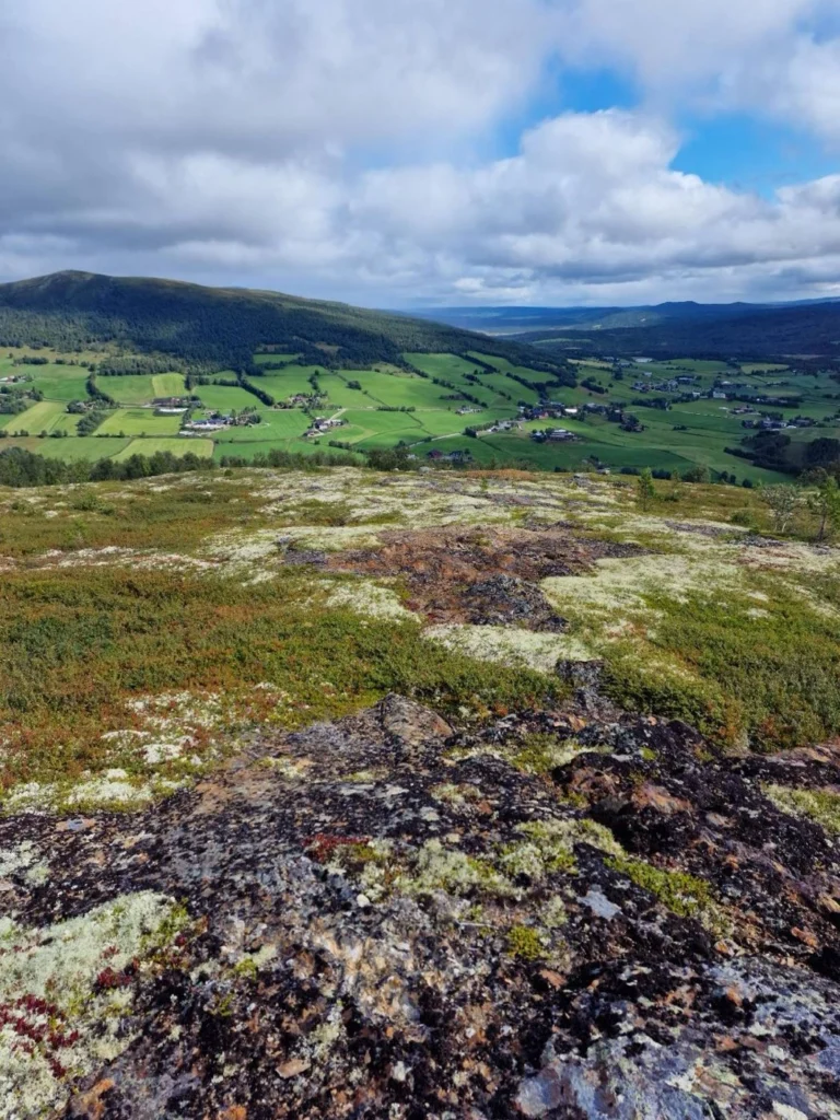 Looking downhill at the Nonsvola target area, rusty altered volcanics along a potential feeder zone, Tynset project
