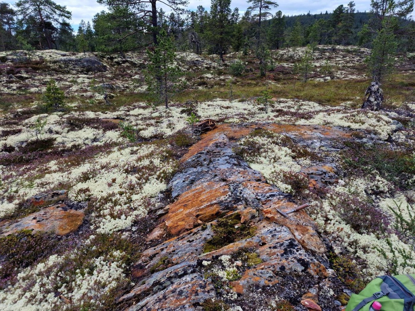 Tynset project area, Norway