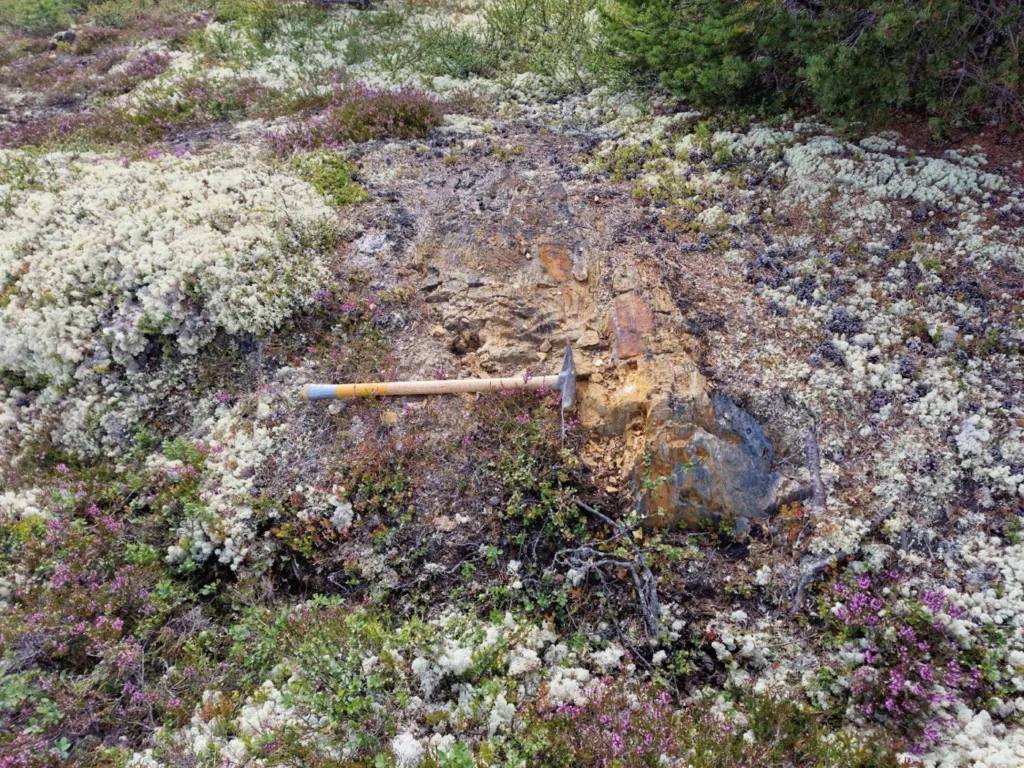 The Svartasvangen target area trend, Tynset, Tynset project